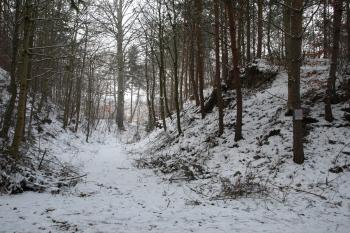 šíjový příkop a centrální pahorek ( © Milan Caha 01/2009)