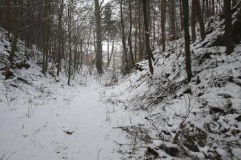 šíjový příkop ( © Milan Caha 01/2009)