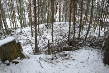 nerovnosti na vrcholu tvrziště ( © Milan Caha 01/2009)