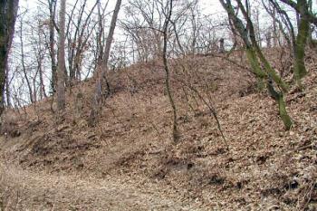 val východně od jádra ( © Pavel Zany Komárek 2004/02/22)