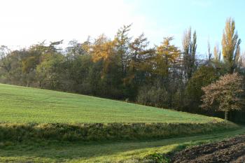 Pohled od silnice (© Prudký Martin, 11/2009)