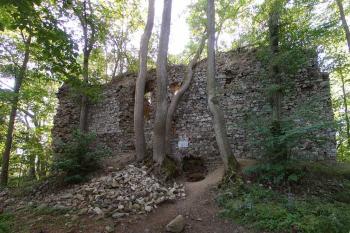  ( © Jiří Čížek 08/2007)