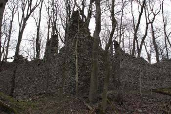  ( © Jiří Hanuš 03/2010)