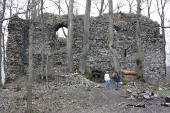  ( © Jiří Hanuš 03/2010)