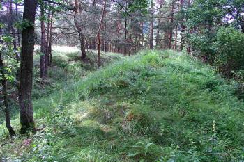 Výrazný val předsunutého opevnění č.1 ( © Roman Řezáč 07/2004)