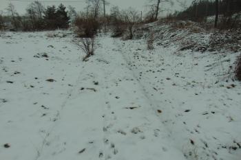 Jižní hradba tvrze (© Dušan Dohňanský  12/2021)