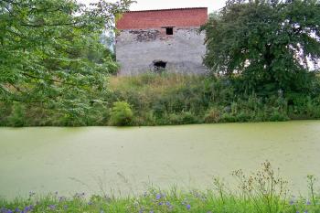 Pohledy přes vodní příkop tvrze (© Jan Šebek, 07/2009)