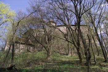  (© Michal Brůža, 04/2011)