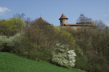  (© Michal Brůža, 04/2011)