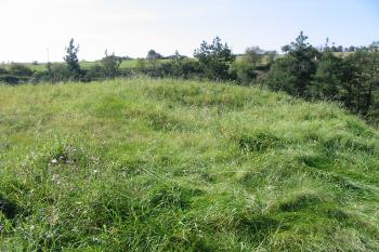 povrch tvrziště (© D Dohňanský, 09/2014)