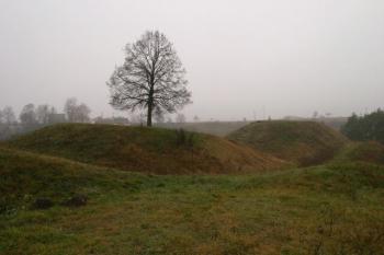 Celkový pohled na tvrziště (© Filip Matoušek , 2003)