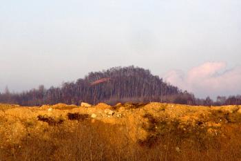 halda Ema z Kunčiček ( © Jan P. Štěpánek 12/2007)