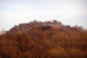 vrchol haly Ema ze Slezské Ostravy ( © Jan P. Štěpánek 12/2007)