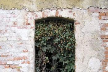 okno hospodářského traktu (© de.ardoise 10/2005)
