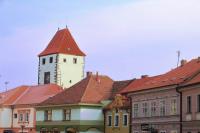 Pražská brána