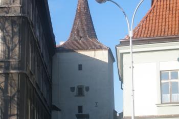  (© Jiří Suchomel, 02/2009)