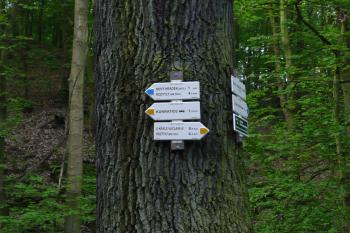 Nový Hrad u Kunratic turistické ukazatele ke hradu (© aleshwarrior, 05/2013)