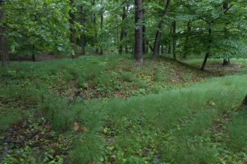 pravoúhlá baštička po dělostřeleckém srubu vnějšího valu tábora ( © Jan Večeřa 05/2015)