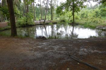 haltýř, tedy kuchyňský rybníček, kam se panu králi přivážely ryby ( © Jan Večeřa 05/2015)