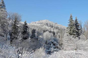celkový pohled na vrch Kozinec s pozůstatky hrádku od východu ( © Jan P. Štěpánek 02/2014)