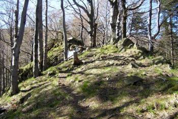 Pohled od východu na nejzažší konec hrádku ( © Jan P. Štěpánek 04/2007)