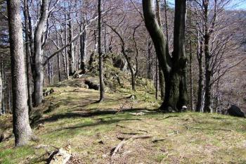 Pohled přes plochu nádvoří k východu na zadní skalisko ( © Jan P. Štěpánek 04/2007)