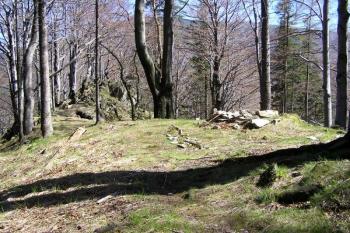 Vyústění přístupové cesty na plochu nádvoří. V pozadí zadní skalnatá kupa. ( © Jan P. Štěpánek 04/2007)