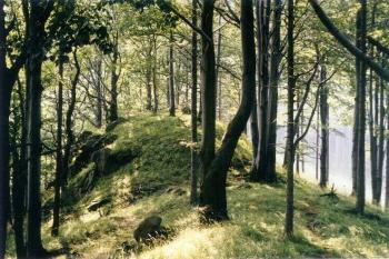  ( © Jan P. Štěpánek 2000)