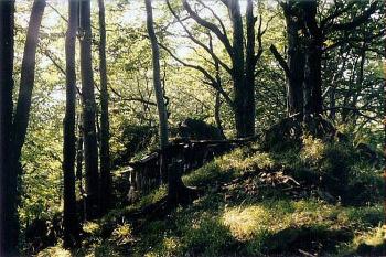  ( © Jan P. Štěpánek 2000)