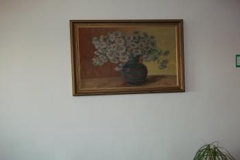  (© Romana Philippová, 09/2017)