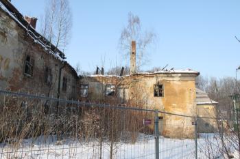 Na místě kde byla střecha rostou stromy (© Daniela Fantová, 02/2011)
