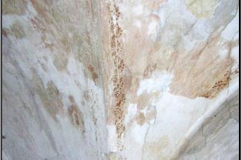 detail zdobení jedné z kleneb ( © Jan P. Štěpánek 04/2005)