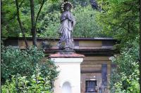 Ropice