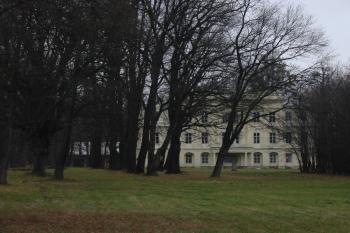 část parku s jižním přůčelím (© D Dohňanský, 04/2016)