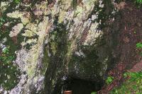 Těnovice