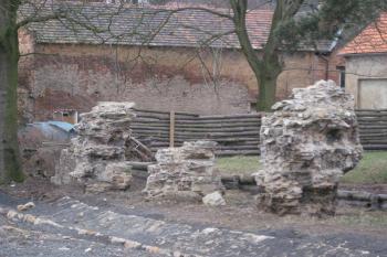 Zbytky mladší tvrze (© Zdeněk Susa, 02/2009)