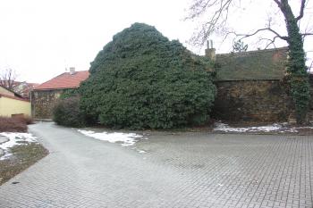 zarostlá věž severní hradby (© Karel Husák, 02/2010)