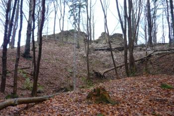 Obřany - pohled na zříceninu hradu od jihu (© Karel Světlík, 12/2012)