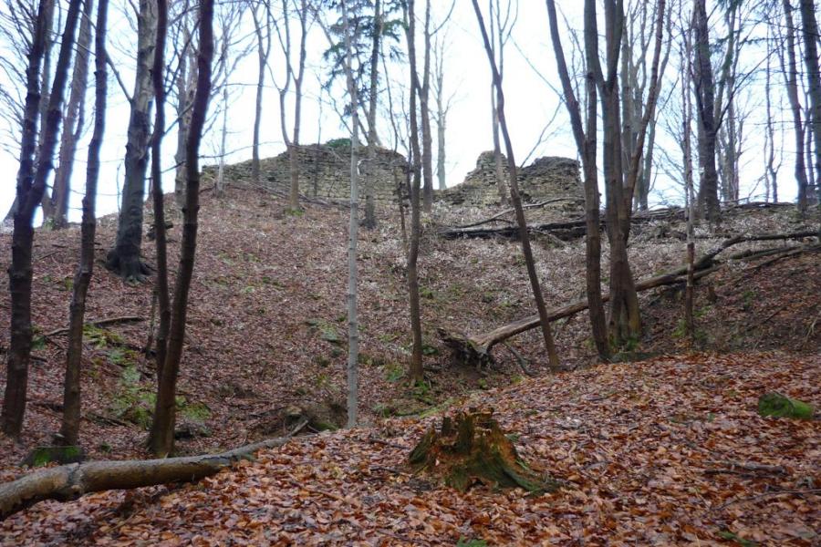 Obřany