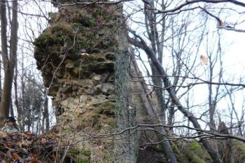 Obřany - hradní zeď paláce, v dáli vývrat stromu buku, pád přímo na hradbu (© Karel Světlík, 12/2012)