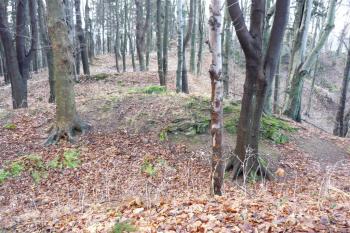 Obřany - lokalita hradu (© Karel Světlík, 12/2012)