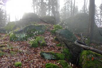 Obřany - lokalita hradu (© Karel Světlík, 12/2012)
