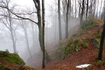 Obřany - lokalita hradu (© Karel Světlík, 12/2012)