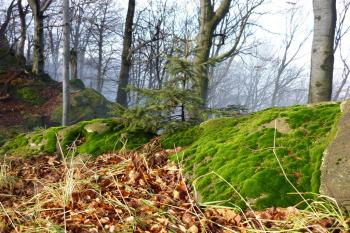 Obřany - lokalita hradu (© Karel Světlík, 12/2012)