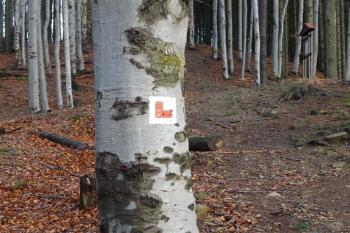 Obřany - piktogram informující, že brzy budeme na hradě (© Karel Světlík, 12/2012)