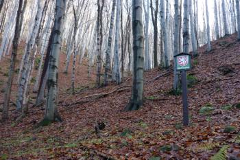 Obřany - lokalita hradu (© Karel Světlík, 12/2012)