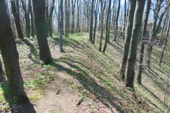 Linie sev. hradby ve východní části (© Dušan Dohňanský  05/2021)