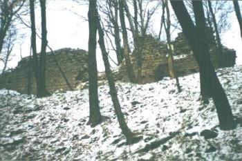 Hrad Obřany (2002 ©Martin Zvonek - www.pamatky-jv-moravy.ic.cz)