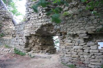  (© 2003 Jiří Čížek)