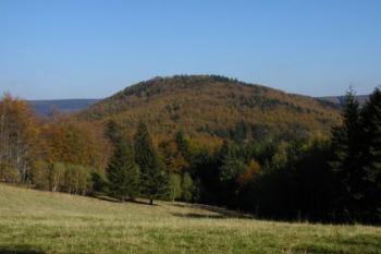 Obřany u Bystřice p.H. - lokalita zříceniny v 704 m nad m. (2003 ©Martin KLIMÁNEK)